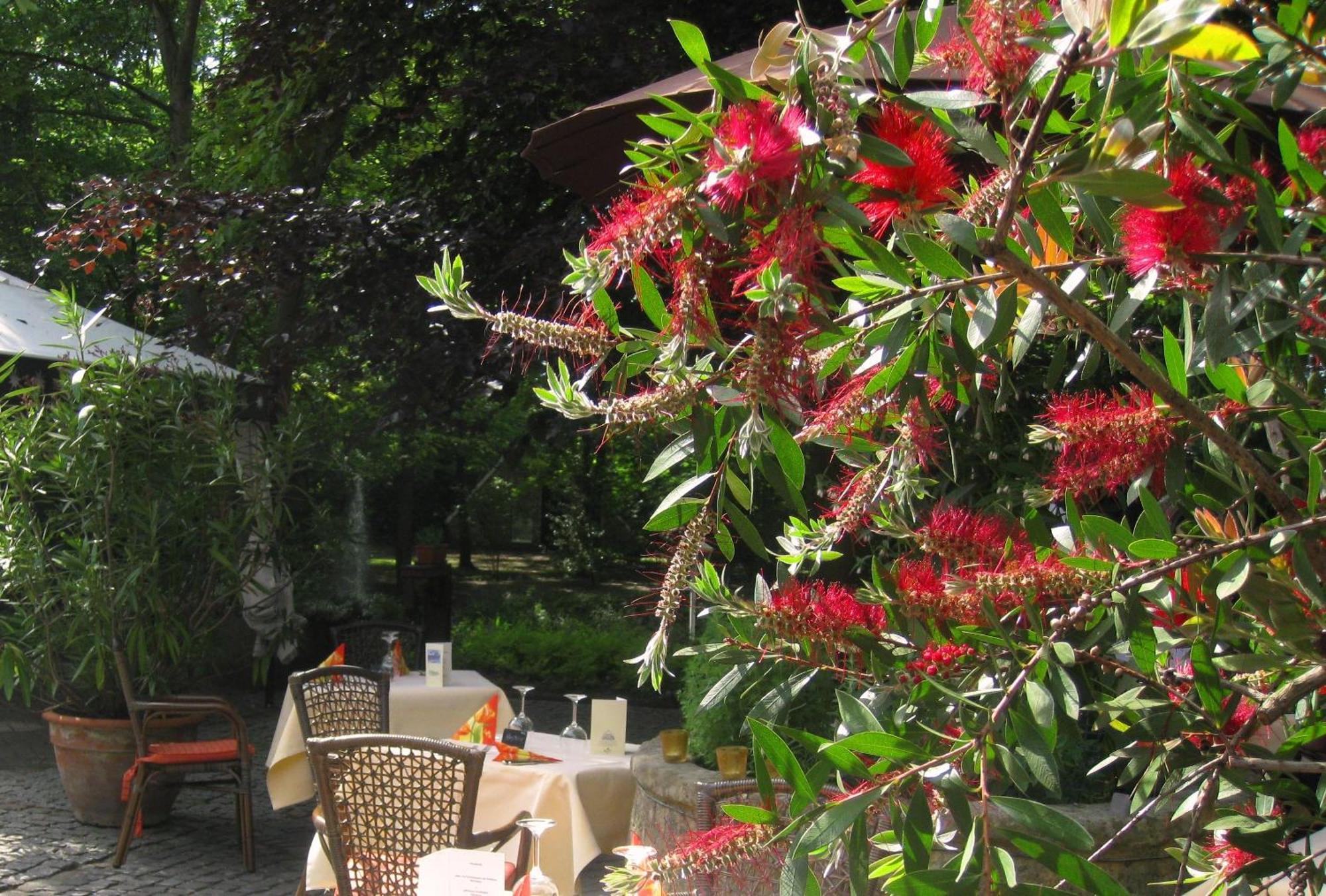 Landidyll Wilminks Parkhotel Neuenkirchen  ภายนอก รูปภาพ